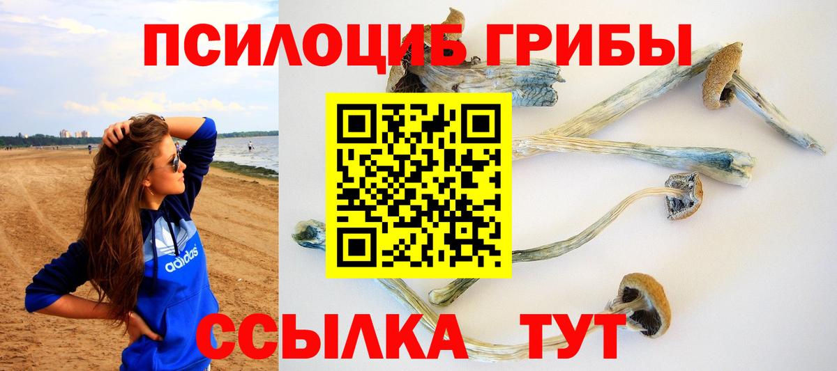 Псилоцибиновые грибы Cubensis  Вход с VPN  Псилоцибиновые грибы Magic Shrooms  закладка  Железноводск 